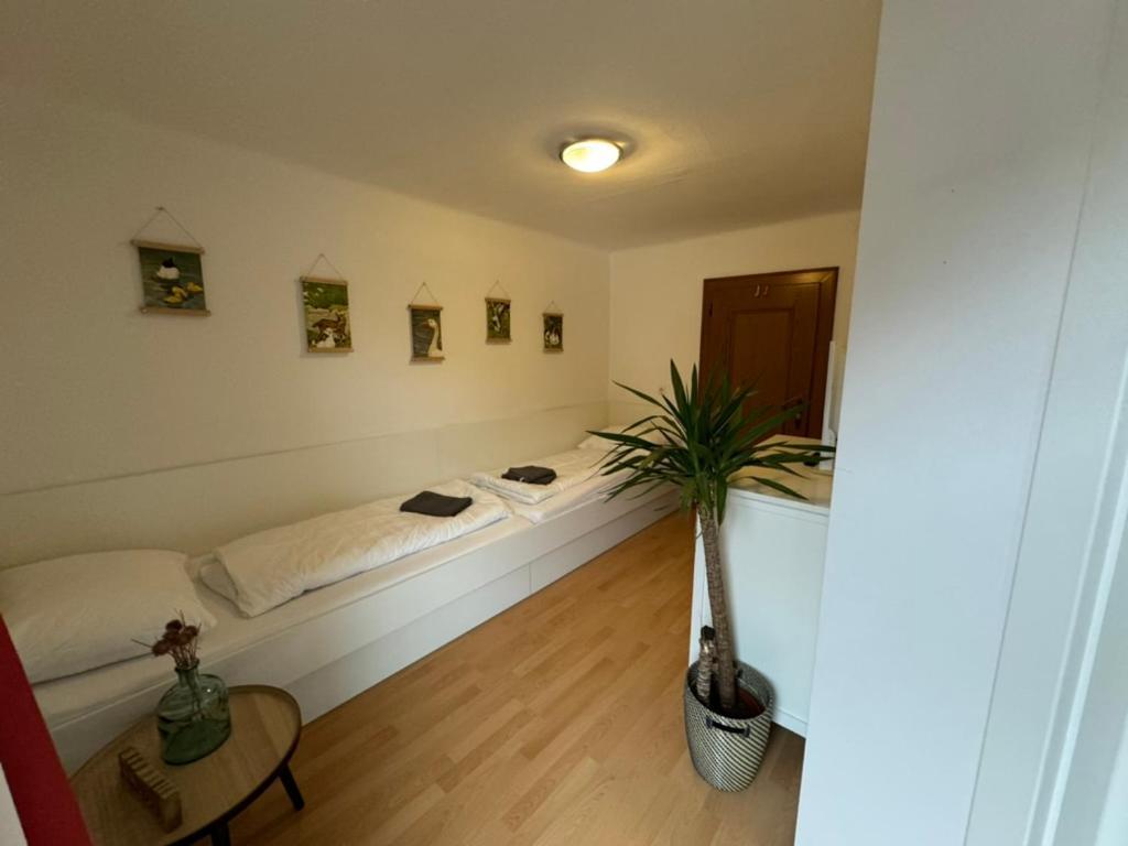 Go For Mountains Appartements Eben Im Pongau Dış mekan fotoğraf